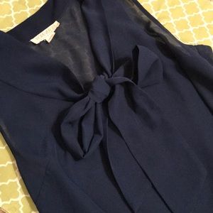 Blue Sheer Tie Neck Sleeveless Blouse